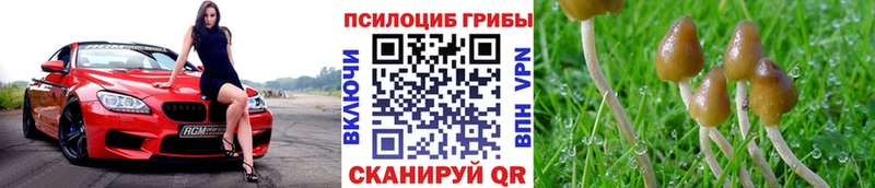 Галлюциногенные грибы GOLDEN TEACHER  Малоярославец 